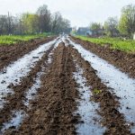 В Среднеахтубинском районе отремонтировали дорогу между Тумаком и Ямами